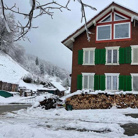 Old Farmhouse Loft Near Vaduz Sevelen エクステリア 写真