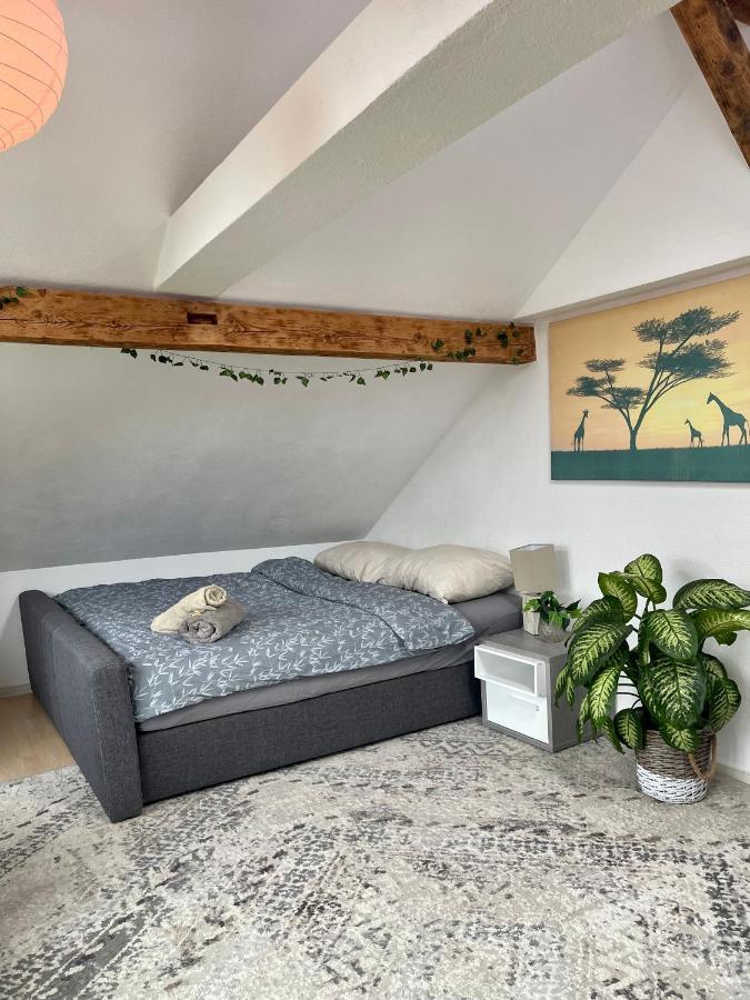 Old Farmhouse Loft Near Vaduz Sevelen エクステリア 写真